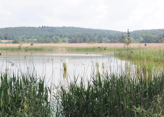 Keller Bed & Breakfast Reichenau