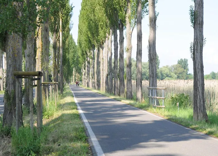 Keller Île de Reichenau